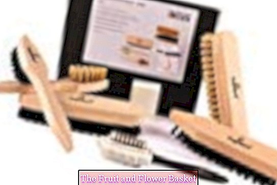 biped Shoe Brush Set Classic incl. Brushes & Suede Brush - Dirt Brush - Lederradiergum?