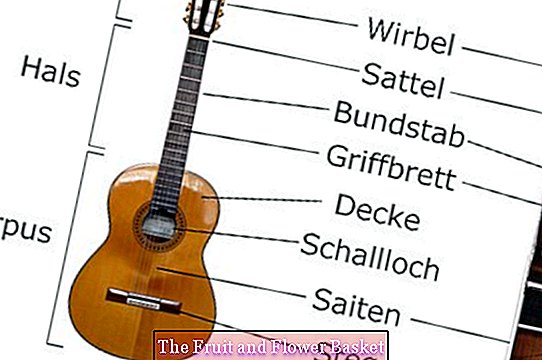 Classical Guitar labeled german