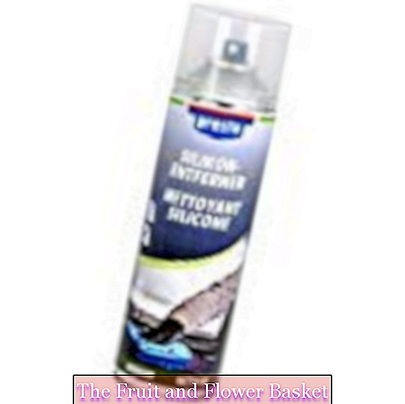 Presto 458668 Silicone Remover Clean like the professionals for an ideal painting surface