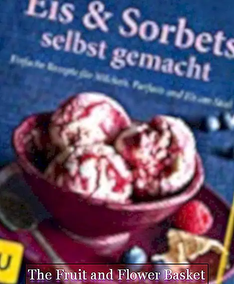 Сладолед и сорбети домашно приготвени: прости рецепти за млечен сладолед, парфе и сос
