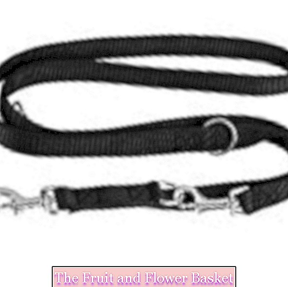 vitazoo Premium повідок для собак чорного кольору, суцільний і регульований в 3 довжини - для великих і сильних H?