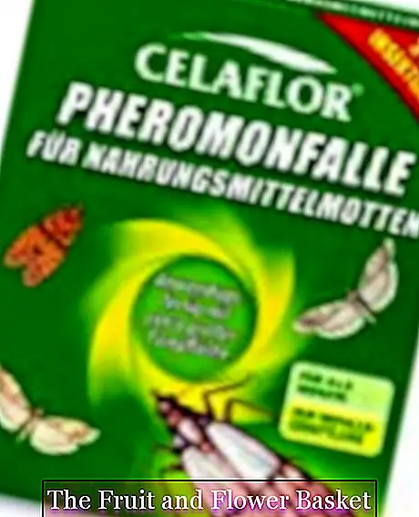 음식 나방을위한 Celaflor 페로몬 함정, 음식 나방을위한 나방 함정, 3 개 조각