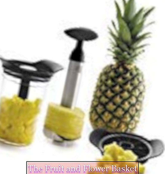 Lacor 60393 Knife and Peeler Set F / Pineapple