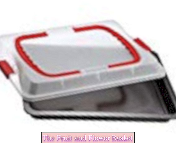 Dr. Oetker 3in1 baking tray with transport hood, baking tray for baking, storage & transporting, al?