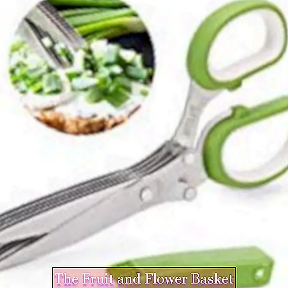 KKTick gunting herba & dapur gunting, keluli tahan karat Herb Gunting dengan 5 bilah dan gunting penutup perlindungan