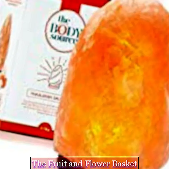 The Body Source Himalaya salt lamp (2-3 kg) with dimmer switch - Pure natural product - Handmade a?