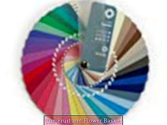 Renk geçişi yazında (Hafif Yaz), renk analizi için 35 türe özgü renkler içeren küçük bir fan olarak renk düzeni?