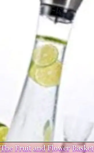 HI водна карафена чаша (1 литър) - стъклен графин с капак и чучур, стъклена бутилка с вода и скъпоценни?