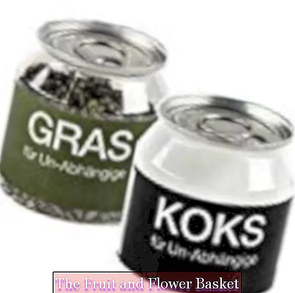 Close Up Grass e KOKS per non dipendenti in un set di 2 - Articoli divertenti di scherzo, tè e glucosio