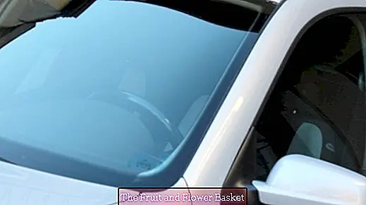 Remove dried tree resin stains from the windshield