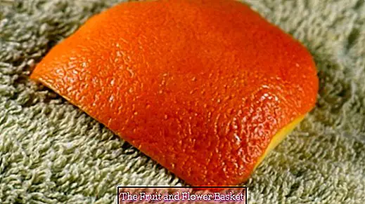 Scent for laundry with orange peel
