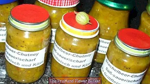 Fiery hot sweet and sour gooseberry chutney / relish