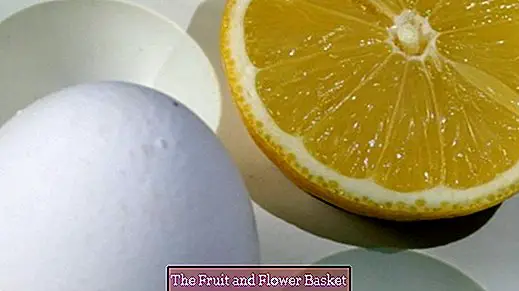 Udržujte řezané citrony