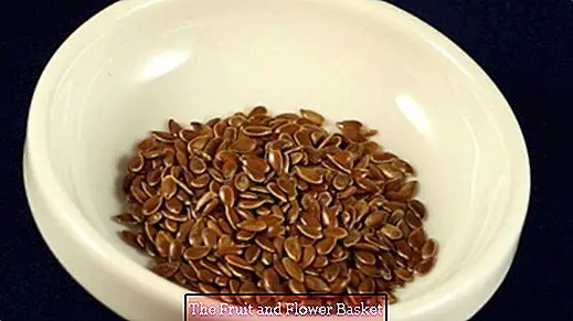 Constipation - what really helps: Flaxseed