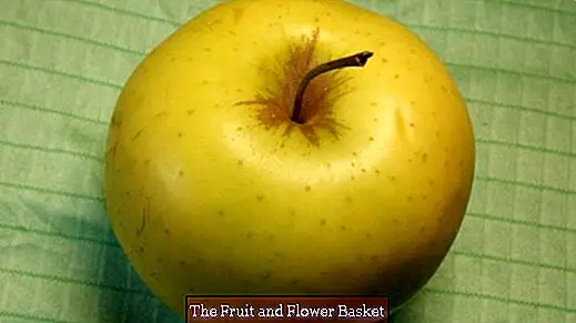 Sfregamento delle mele con un panno in microfibra