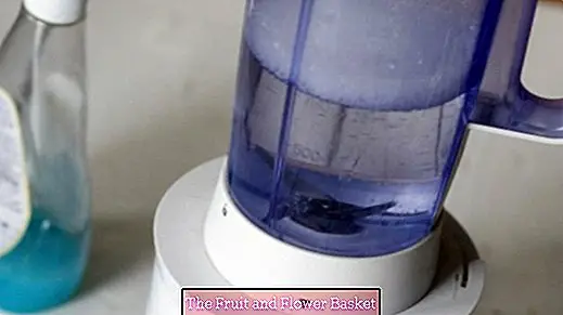 Clean the blender quickly and thoroughly