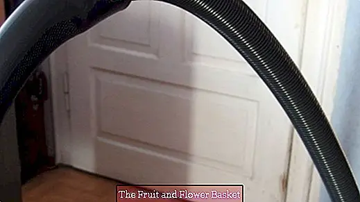 Also clean the vacuum cleaner hose