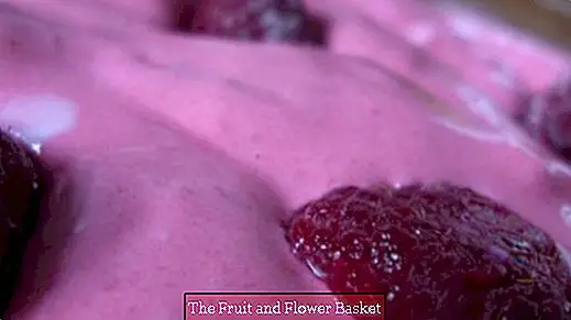 Raspberry ice cream - vegan