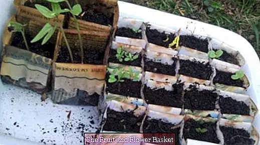 Pot tanaman untuk tumbuhan yang diperbuat daripada kertas cetak