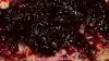 ריבת דומדמניות שחורות